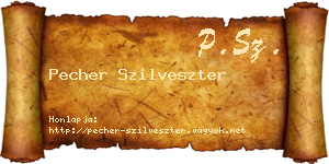 Pecher Szilveszter névjegykártya
